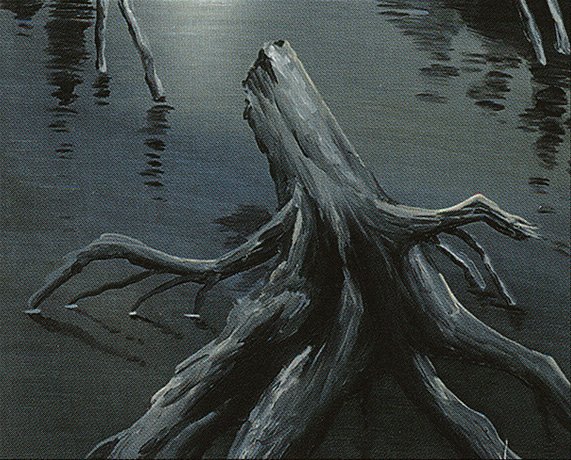 Swamp