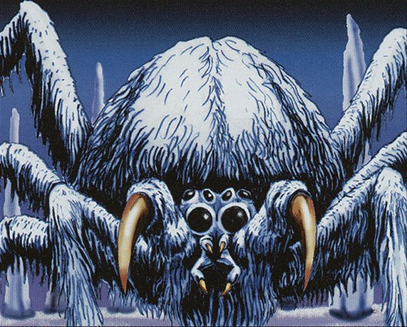 Woolly Spider