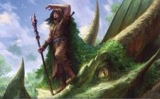 Baru, Wurmspeaker