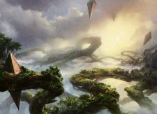 Canopy Vista