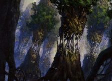 Evolving Wilds