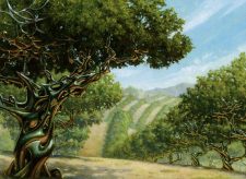 Exotic Orchard