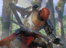 Stangg, Echo Warrior