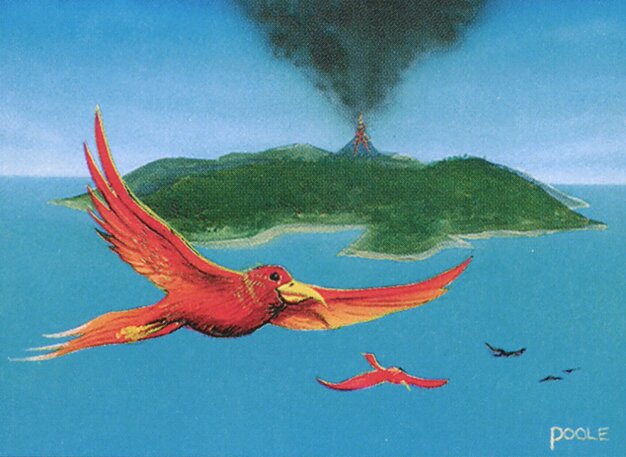 Birds of Paradise