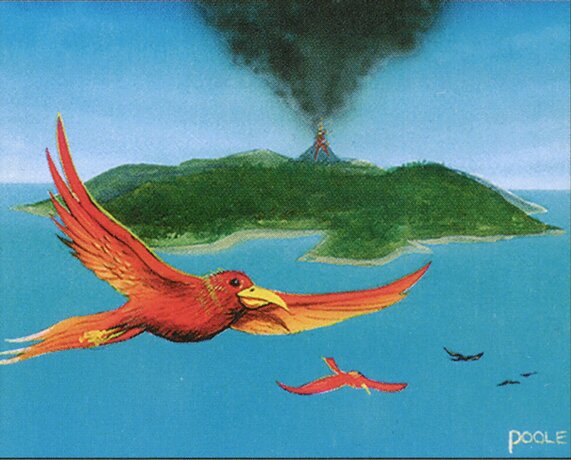 Birds of Paradise