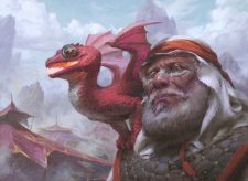 Dragon Whelp