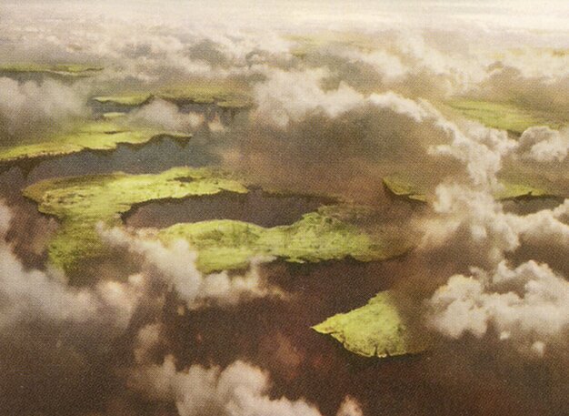 Drifting Meadow