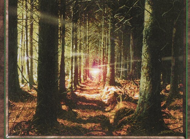 Forest