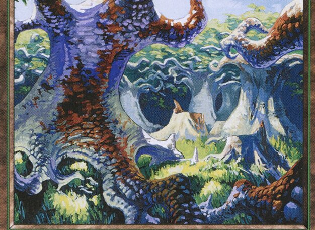 Forest