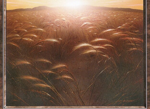 Plains