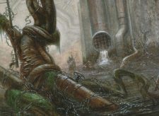 Polluted Mire