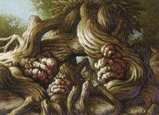 Rith’s Grove