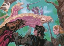 Saproling Symbiosis