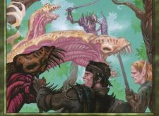 Saproling Symbiosis