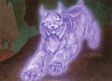 Spectral Lynx