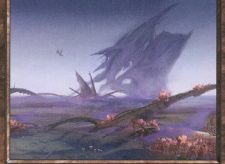 Swamp
