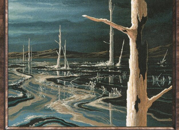 Swamp