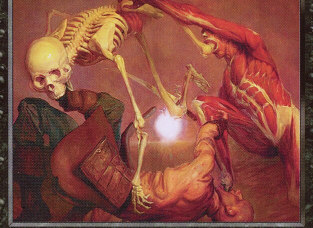 Terror