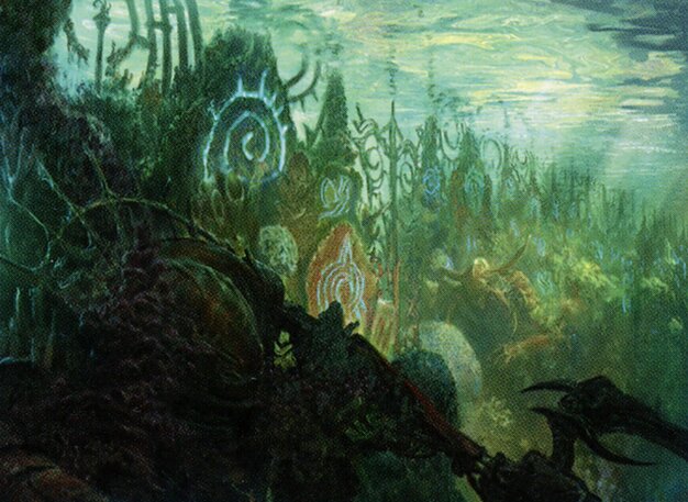 Coral Colony