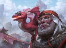 Dragon Whelp