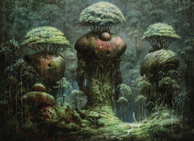 Forest