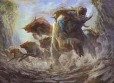 Herd Migration