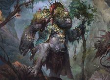 Silverback Elder