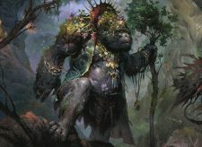 Silverback Elder