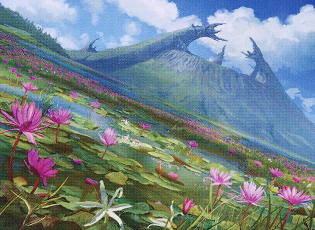 Sunlit Marsh