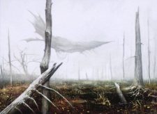 Swamp