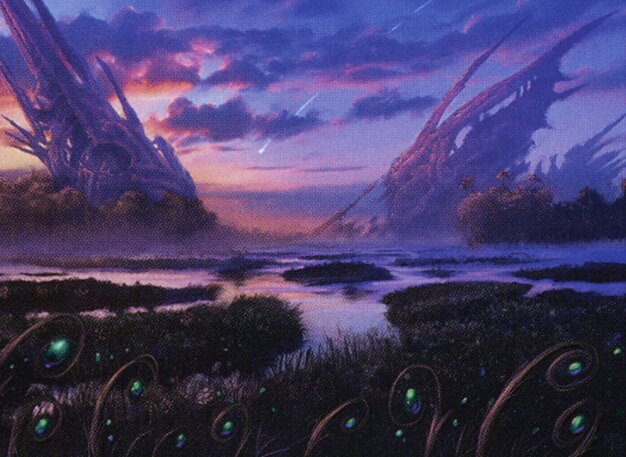Swamp