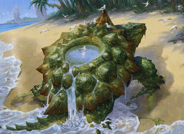 Tidepool Turtle