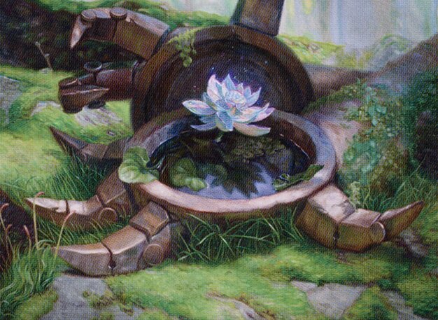 Timeless Lotus