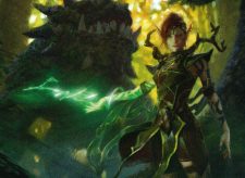 Elfhame Druid