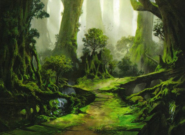Forest