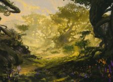 Forest