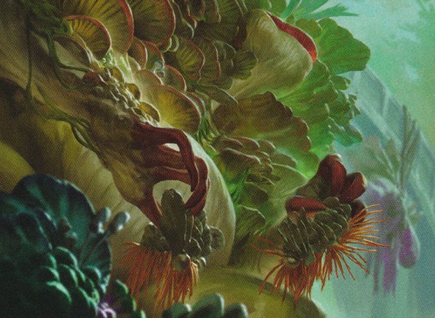 Fungal Plots