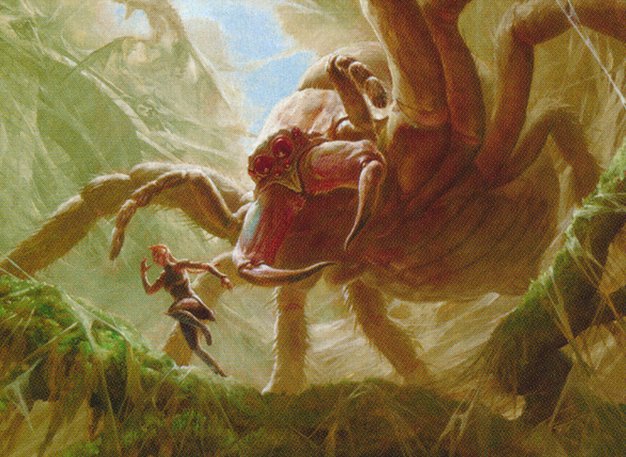Mammoth Spider