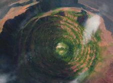 Nature’s Spiral