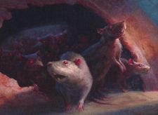 Rat Colony