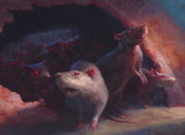 Rat Colony