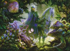 Spore Swarm