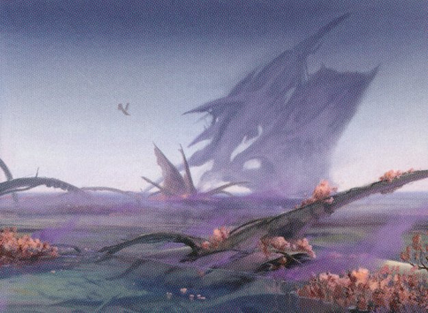 Swamp