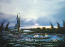 Swamp