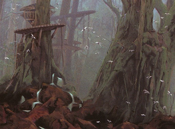 Forest