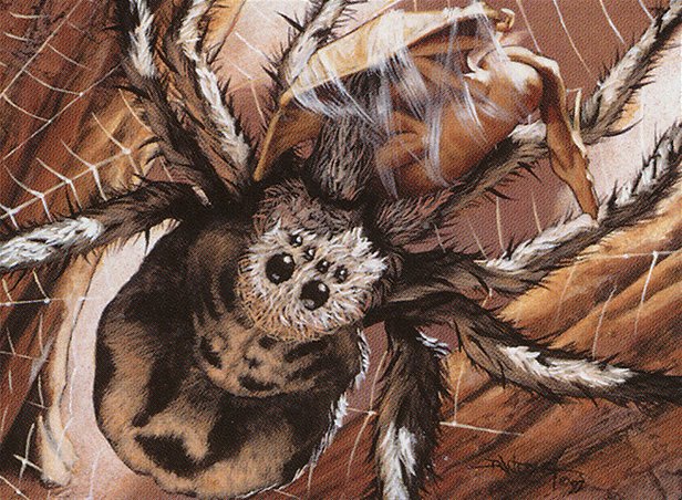 Giant Spider