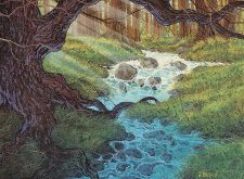 Natural Spring
