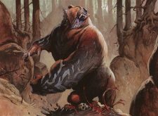 Runeclaw Bear