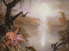 Swamp