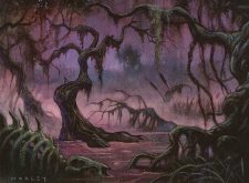Swamp